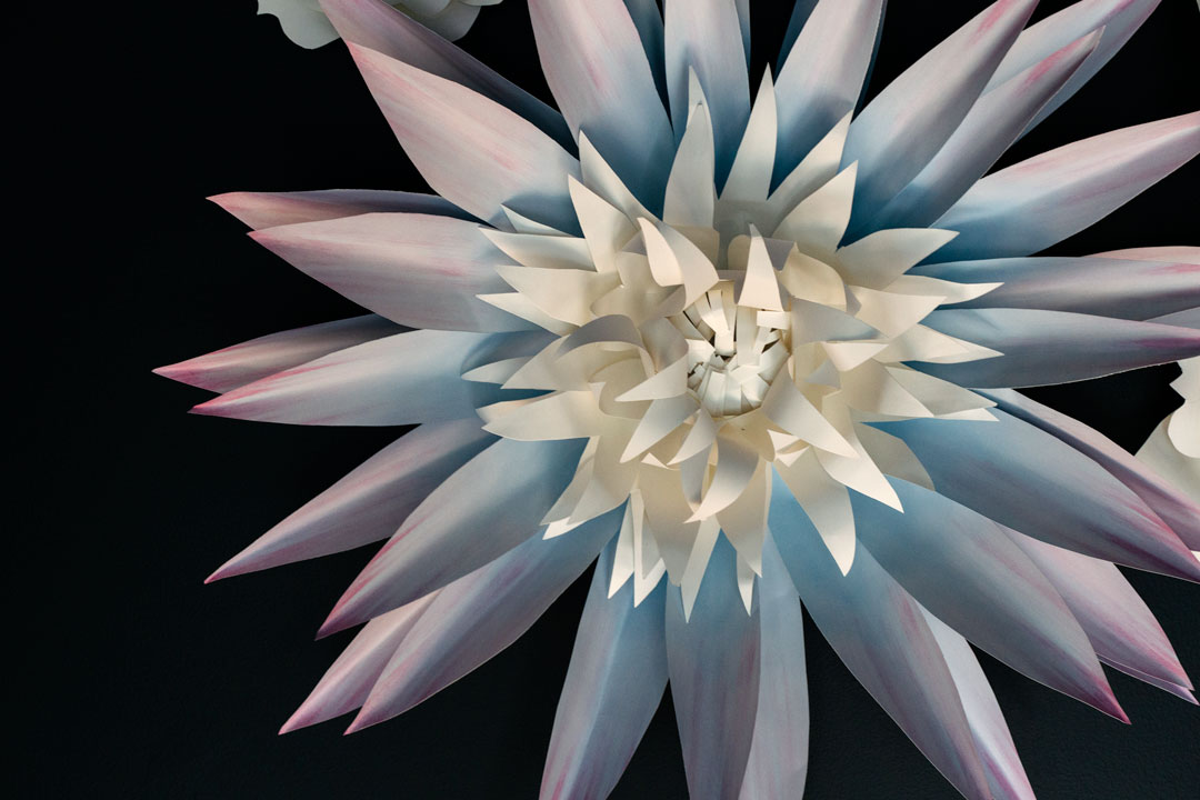 paper flower