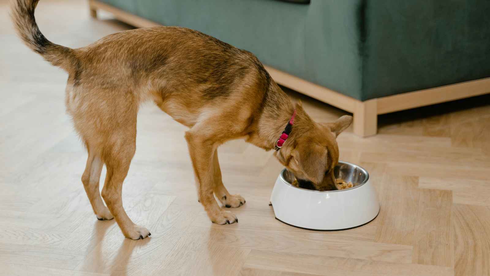 12 Things You Should Be Cleaning Every Day from Now On