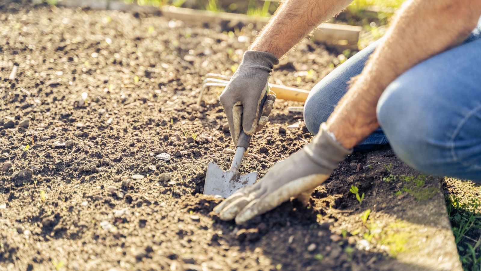 16 Unexpected Ways to Put Baking Soda to Work in Your Garden