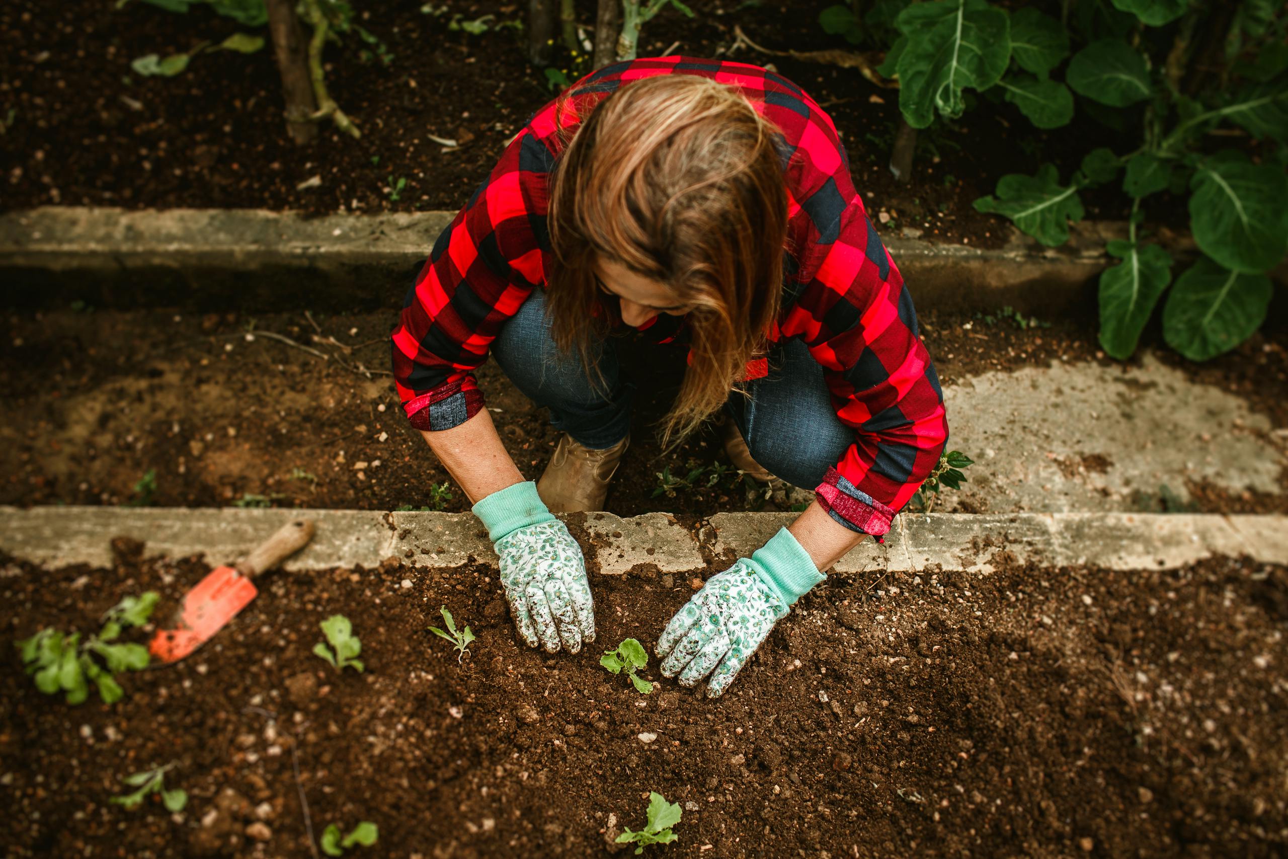 A woman in gardening gloves is planting seeds