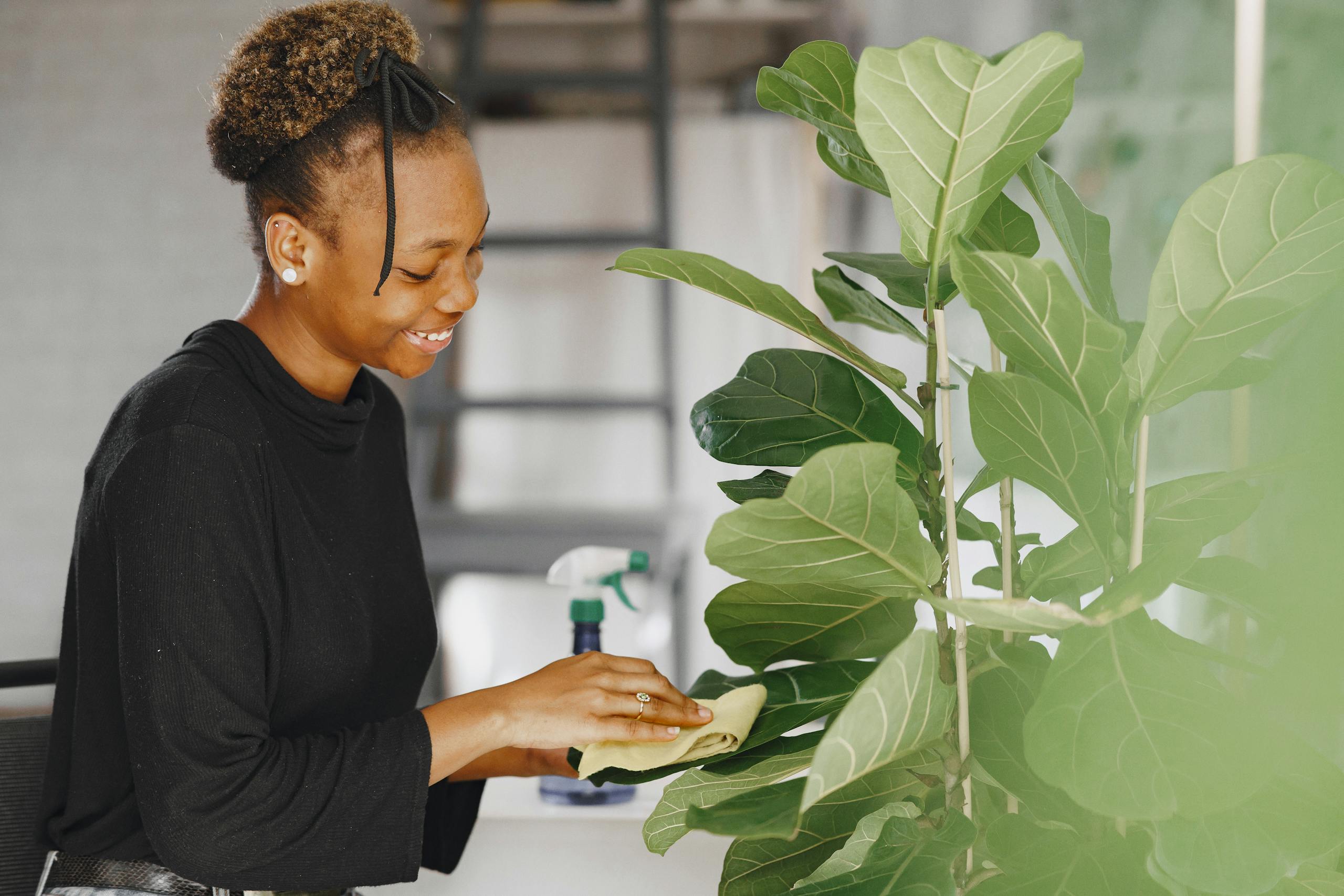 Woman in Black Long Sleeve Shirt Wiping Dust Off Green Leaf