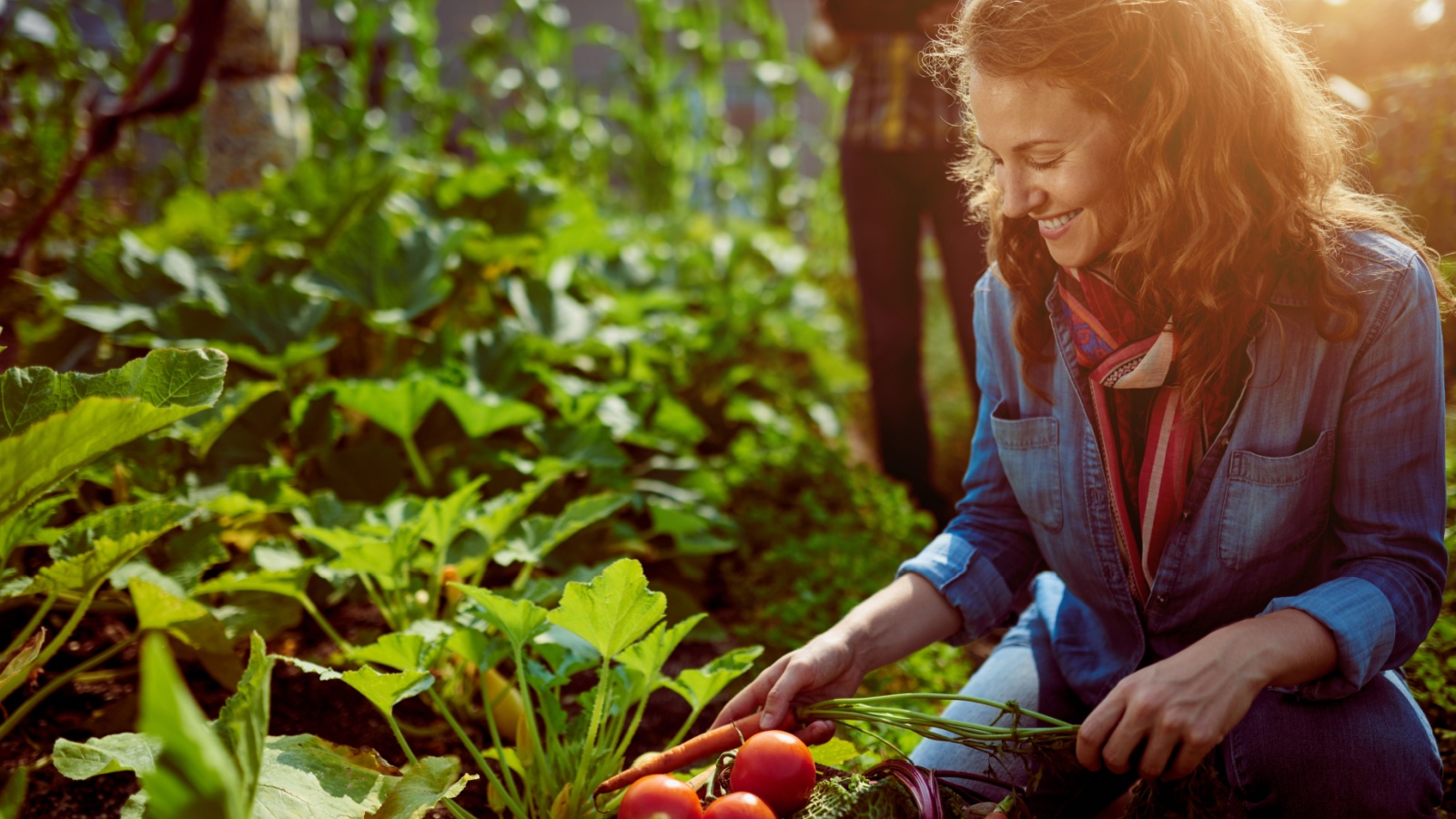 12 Garden Vegetables That Require Minimal Watering