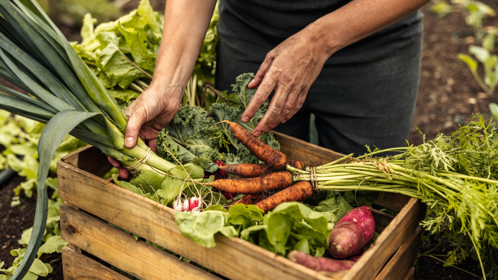 15 Fast-Growing Vegetables You Can Harvest in Under 60 Days