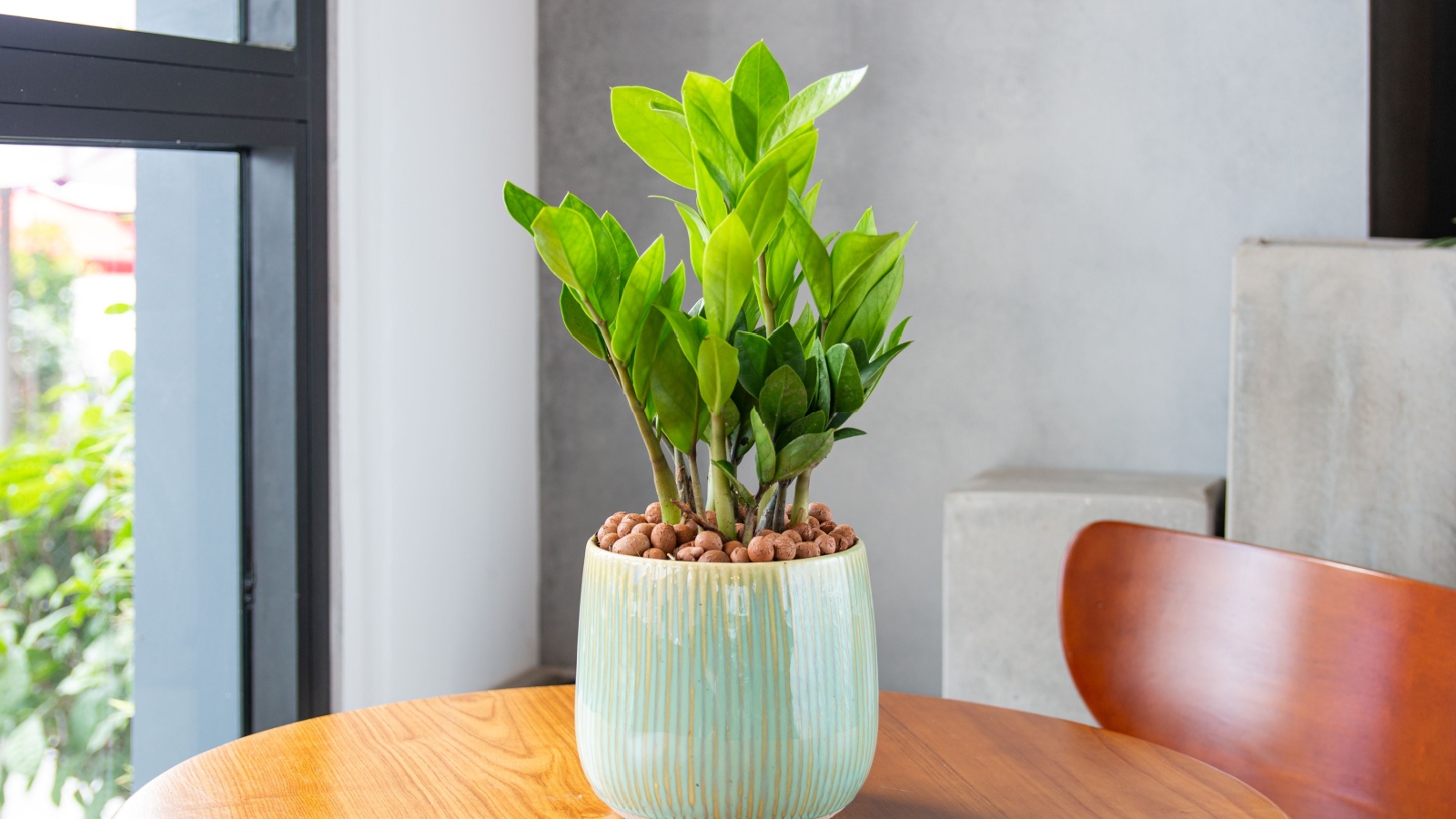 25 Must-Have Container Plants and Creative Ideas for Your Dream Potted Garden
