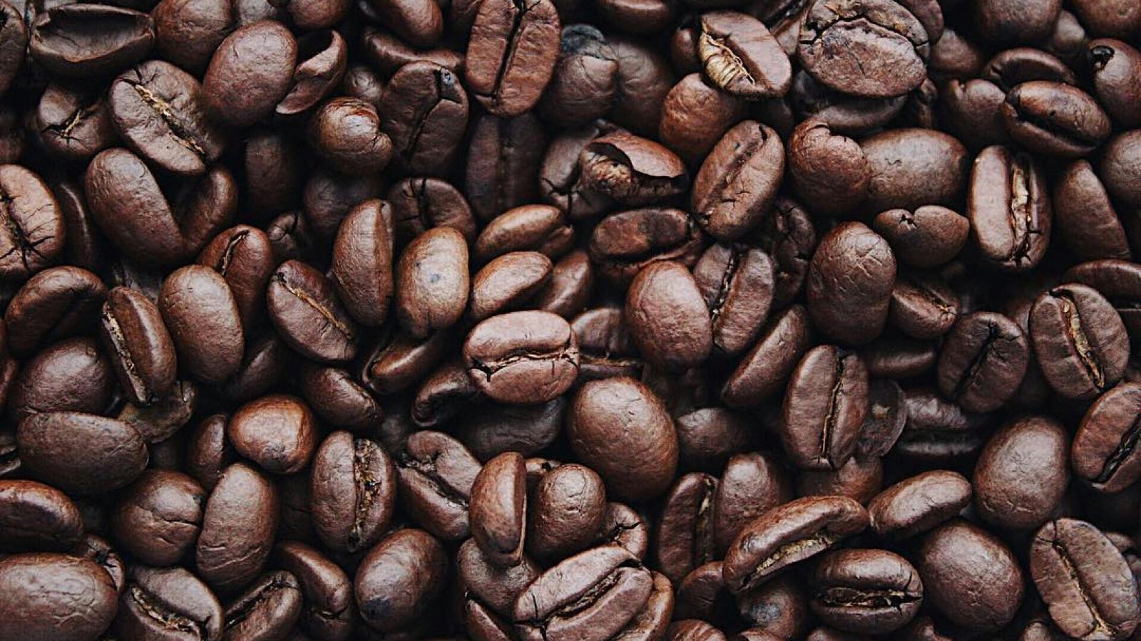 15 Costco Items You Must Always Buy in Bulk