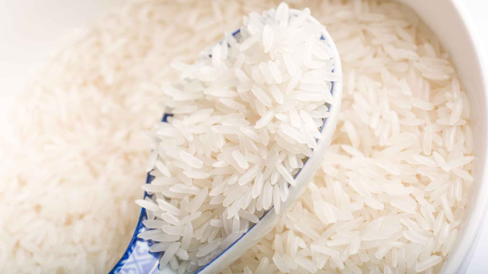 Top 15 Foods Loaded with Microplastics You Didn't Expect
