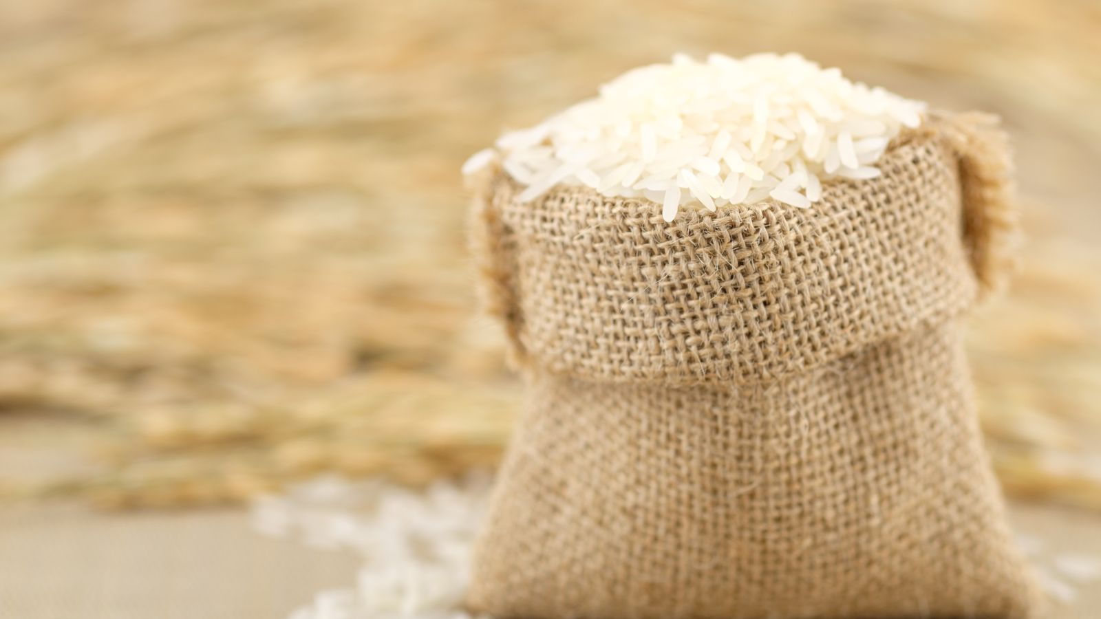 15 Costco Items You Must Always Buy in Bulk