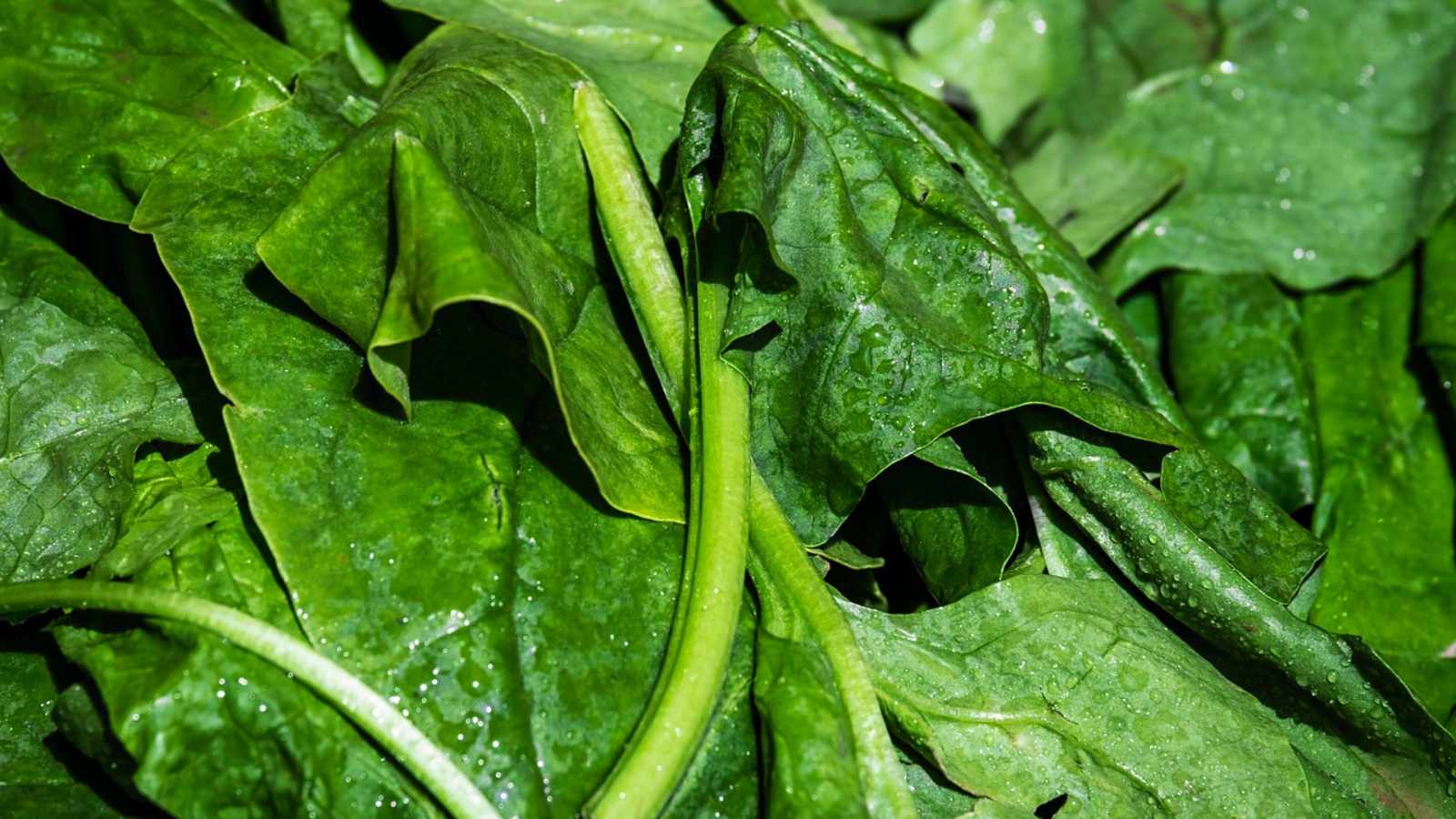 Winter is Coming: 16 Grocery Items You Need to Buy Before Prices Soar