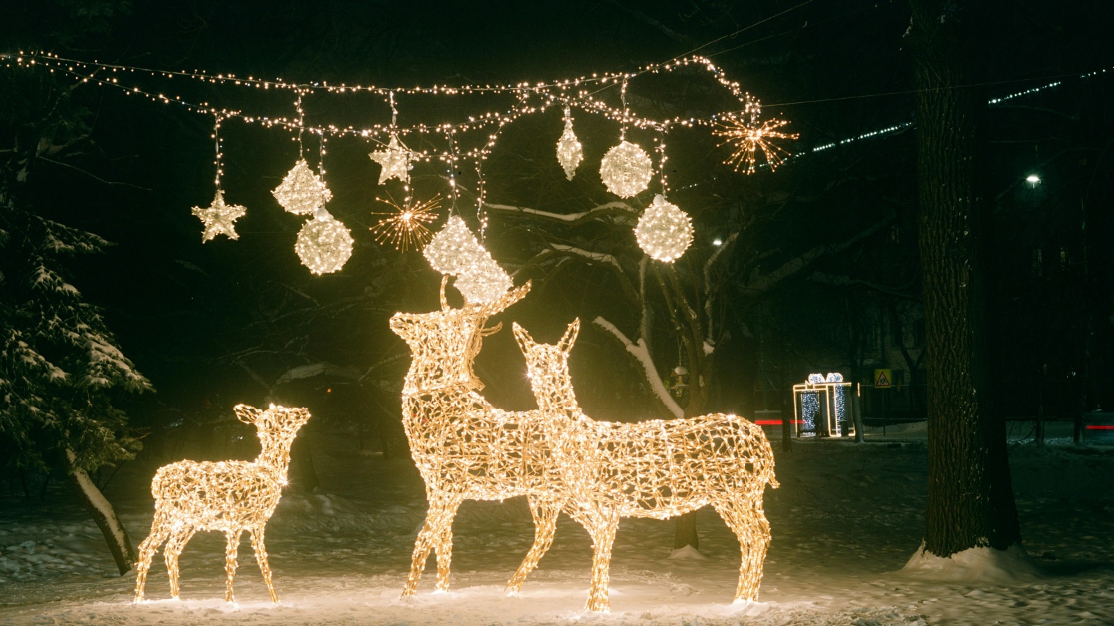 12 Jaw-Dropping Outdoor Christmas Light Ideas You Can DIY