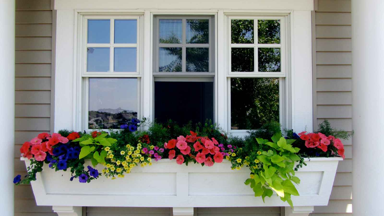 17 Fun House Painting Ideas That'll Make Your Curb Appeal Pop
