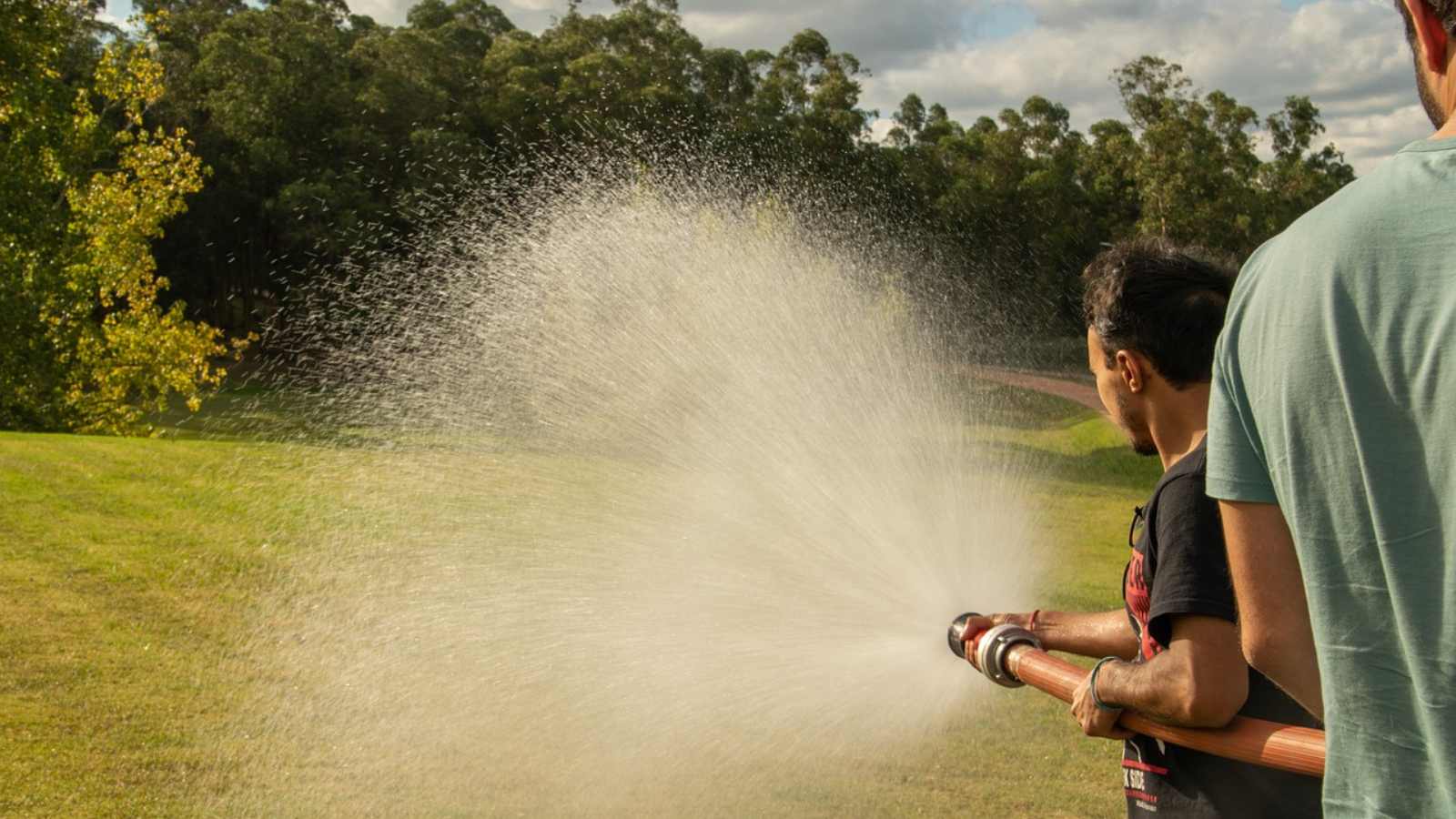 23 Lawn Care Mistakes You’re Probably Making (And How to Avoid Them!)