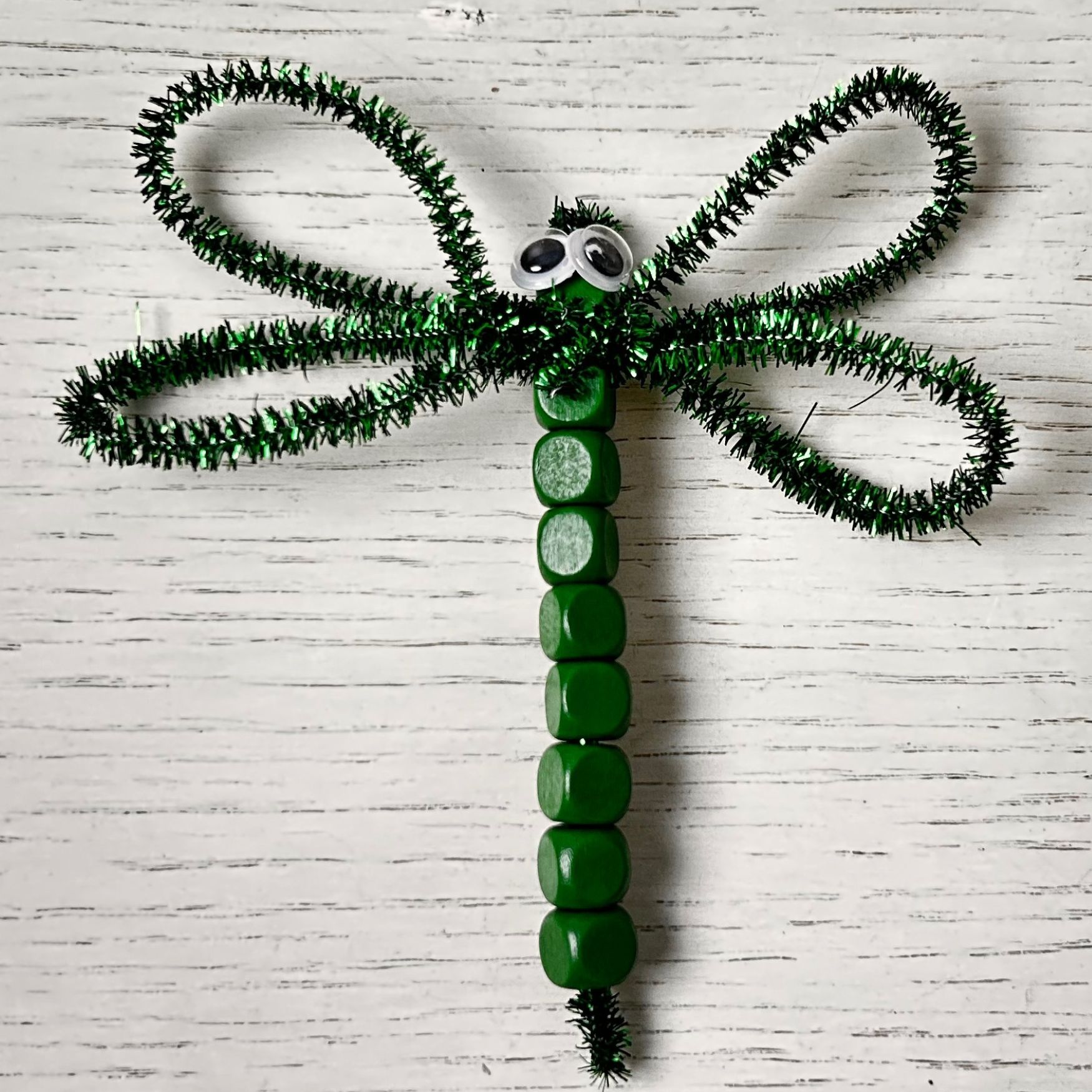 Pipe Cleaner Dragonfly Craft