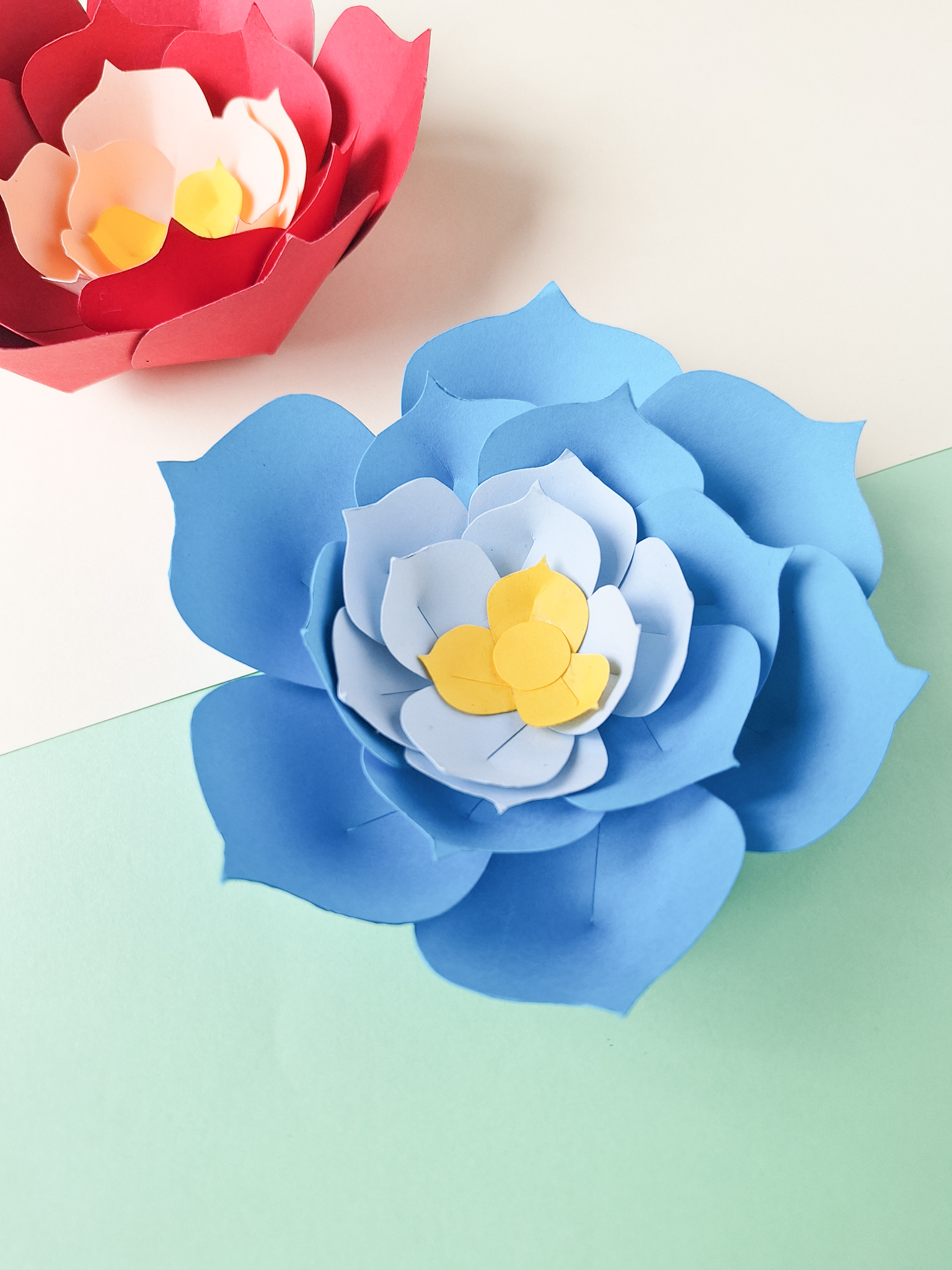 Beautiful Large Paper Flowers