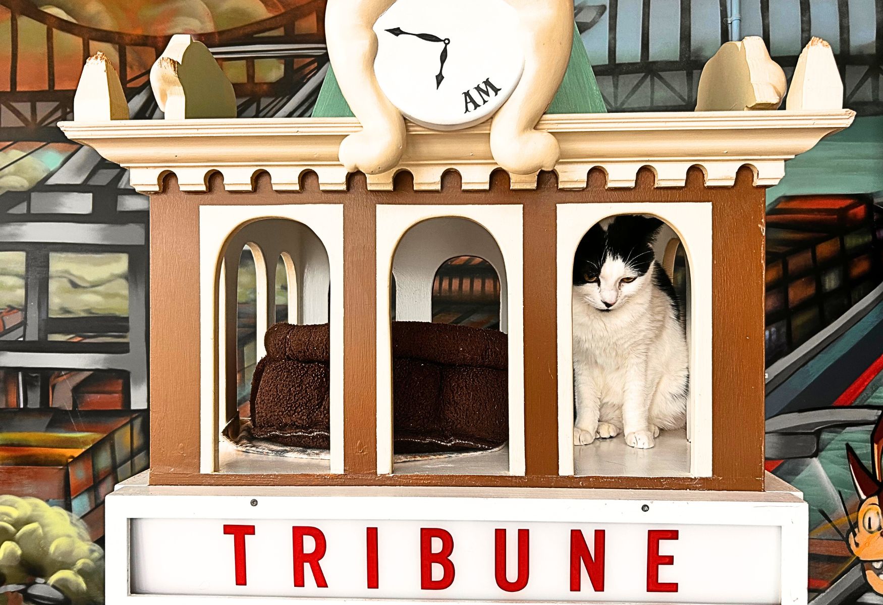 Cat Town Is Oakland’s Unexpected Hangout for Kids and Cats