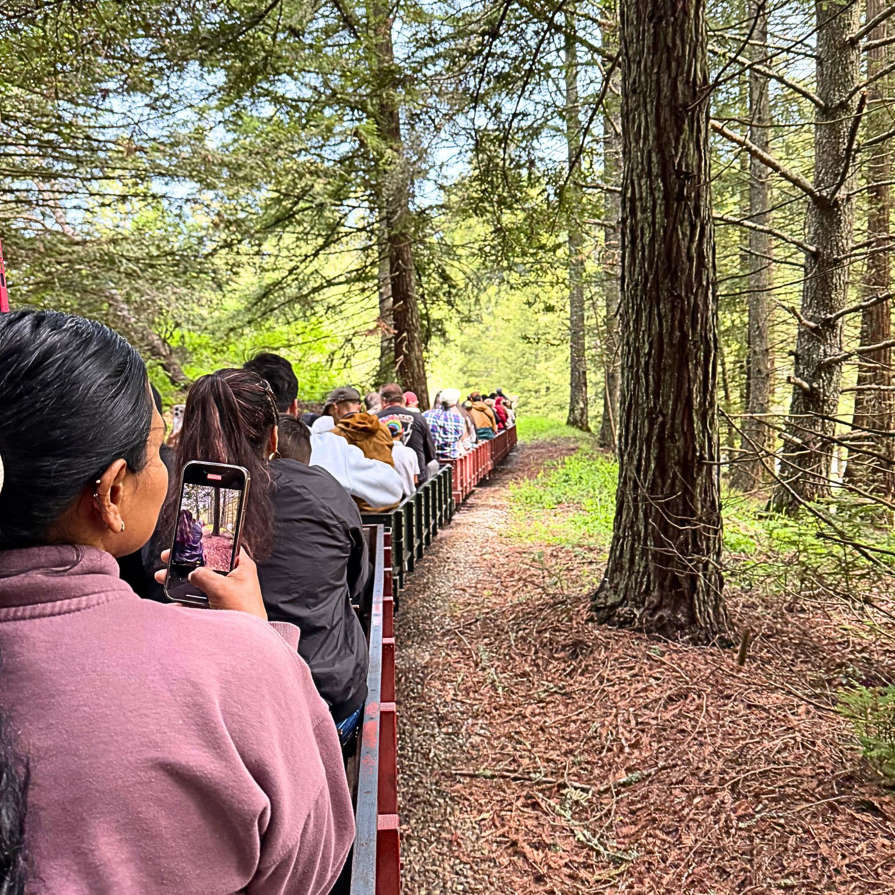 All Aboard – Tilden Park Steam Train