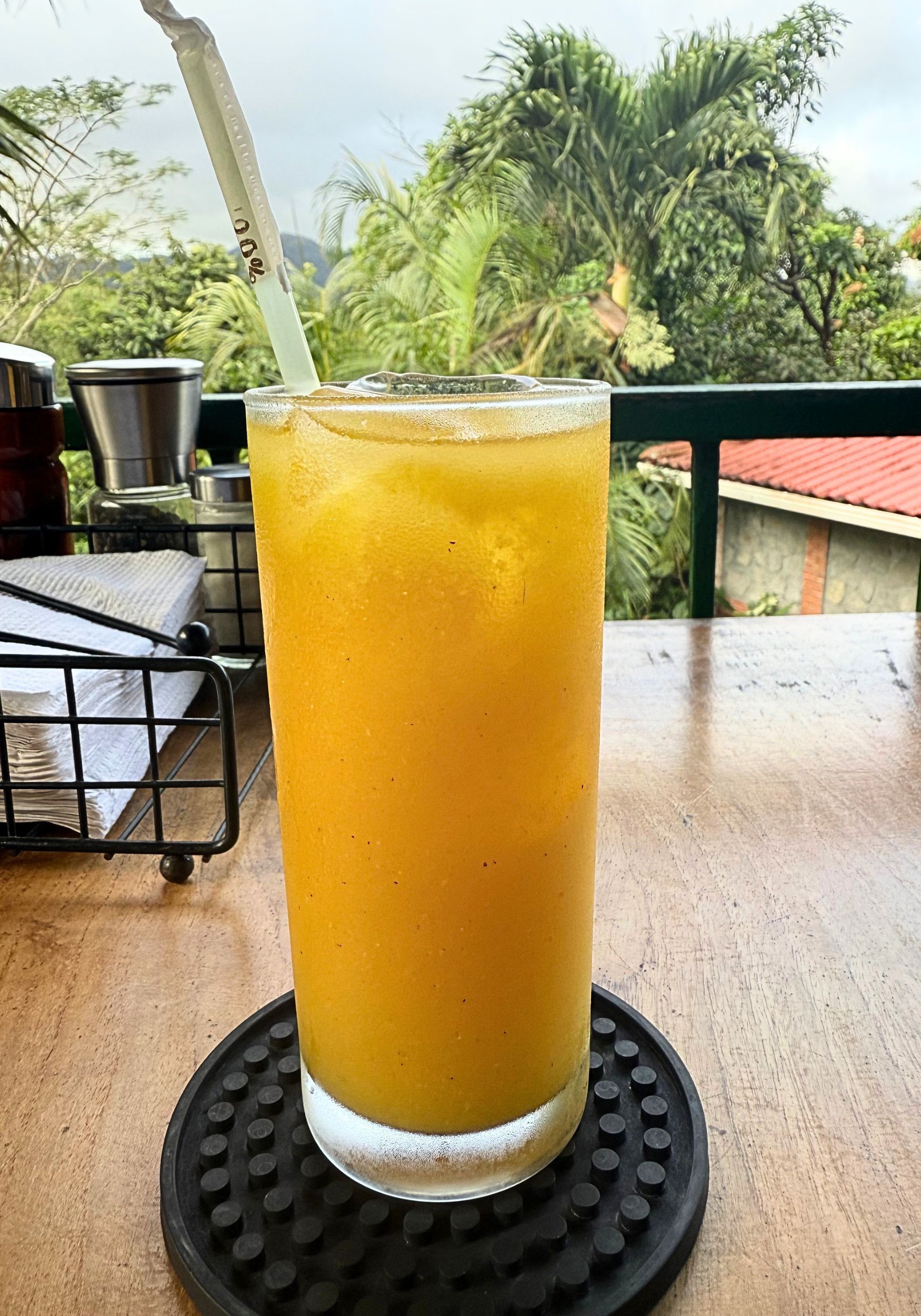 panama frog inn