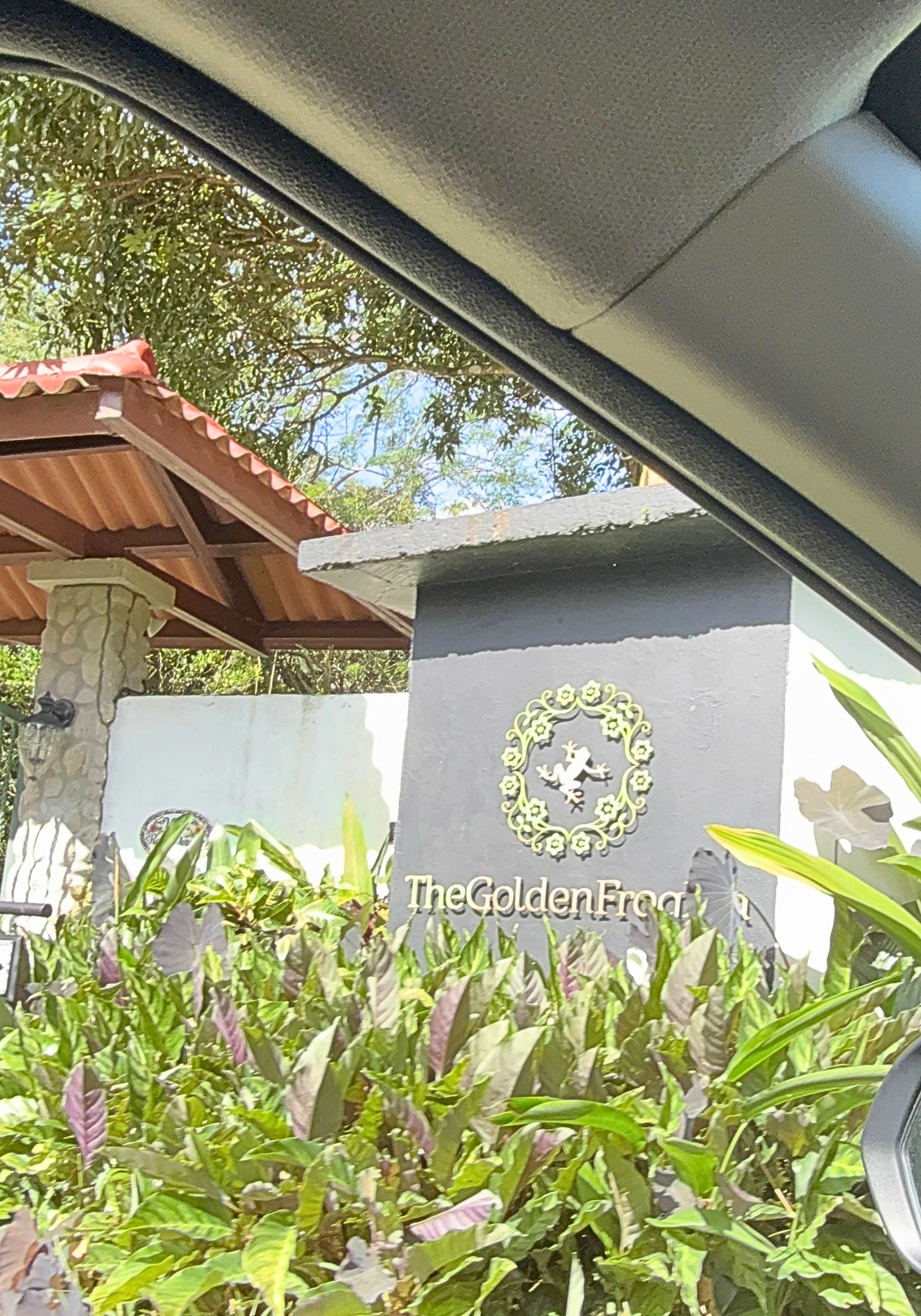 panama frog inn