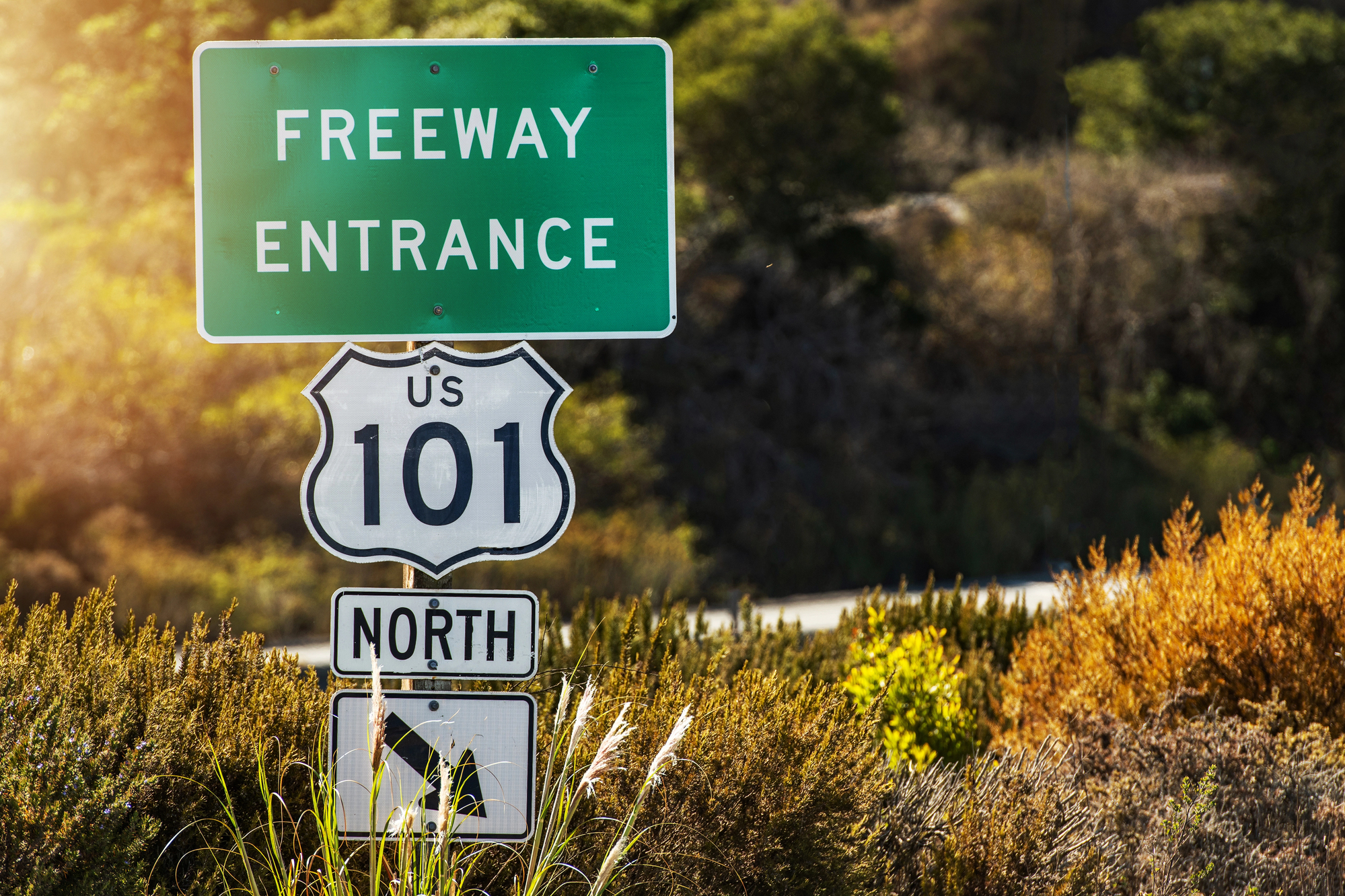 california highway 101
