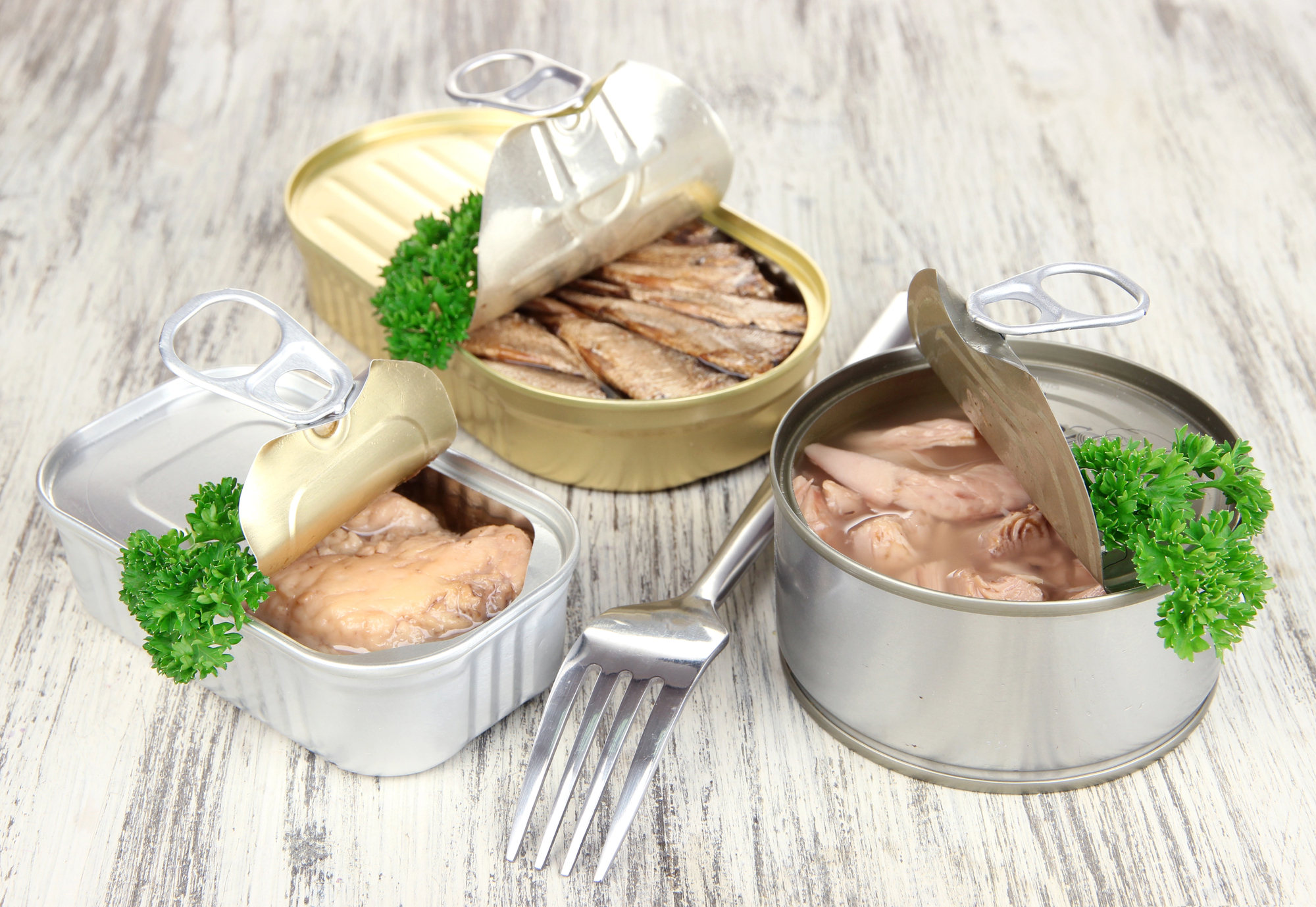 Sardines