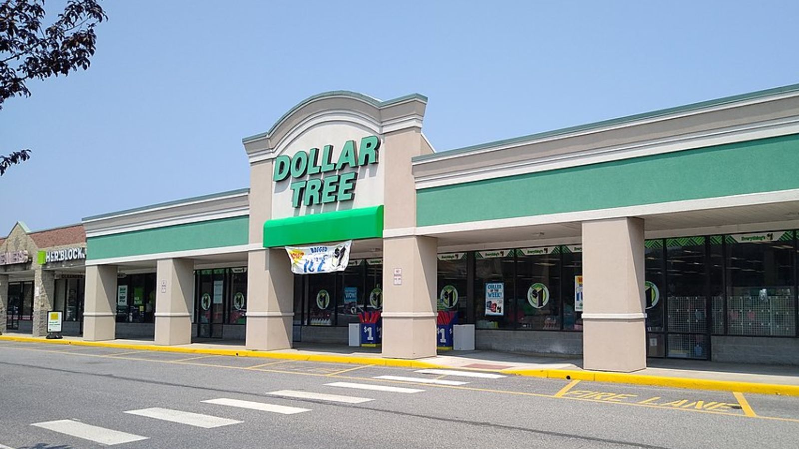 dollar tree