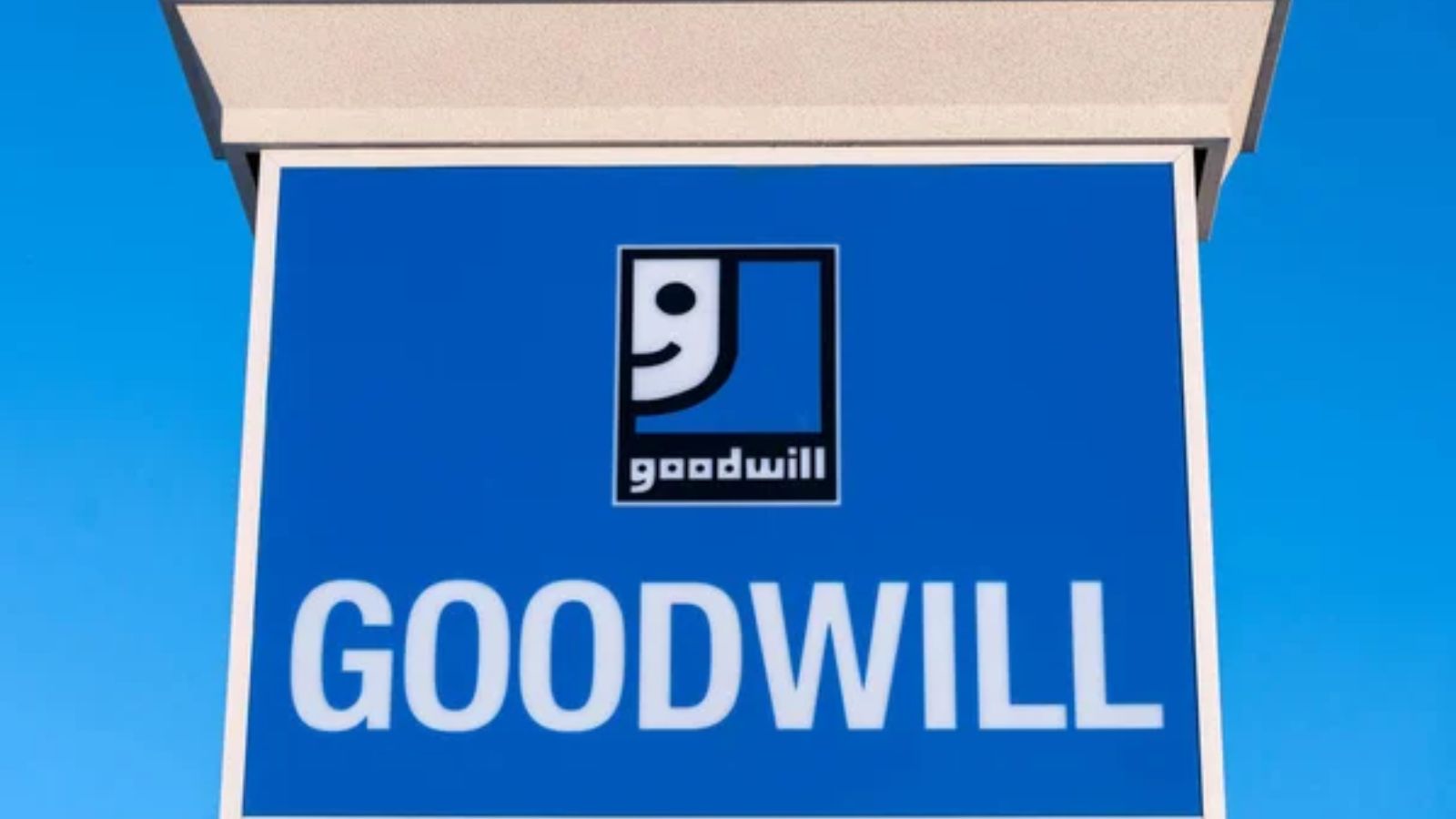 goodwill